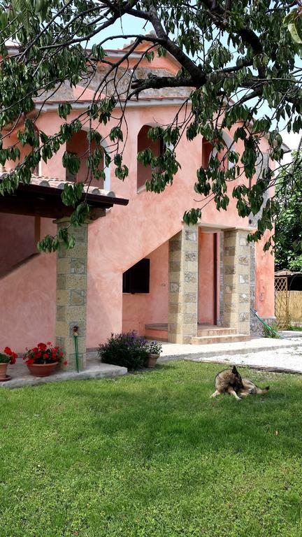 Agriturismo Airone Pitigliano Dış mekan fotoğraf