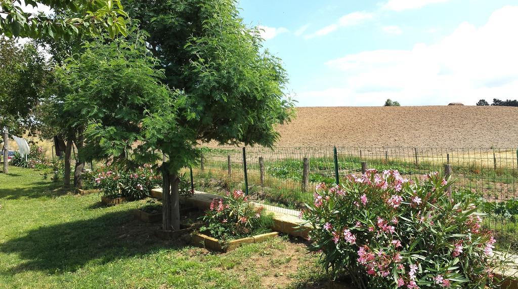 Agriturismo Airone Pitigliano Dış mekan fotoğraf